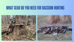 what-gear-do-you-need-for-raccoon-hunting