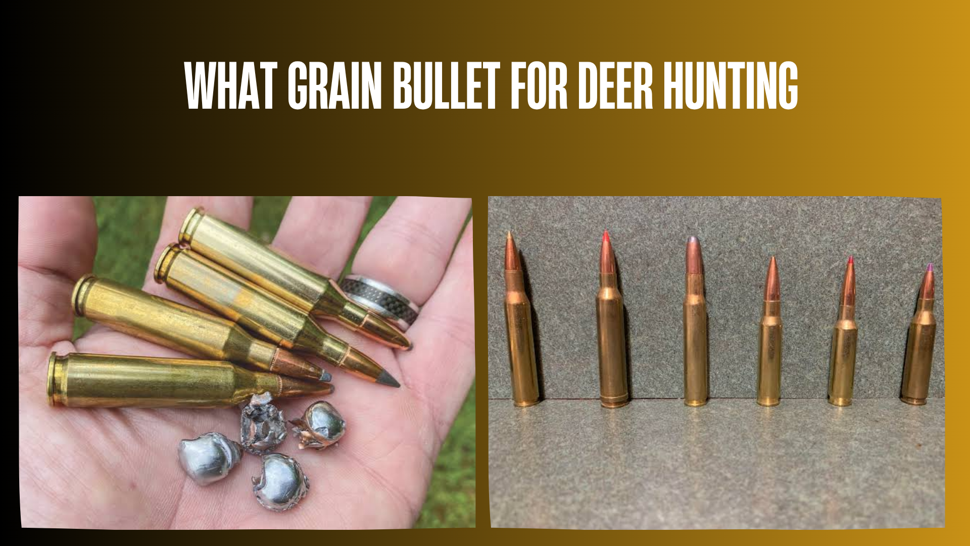 what-grain-bullet-for-deer-hunting