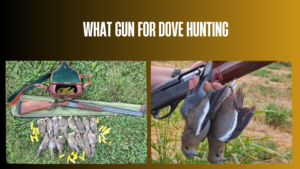 what-gun-for-dove-hunting