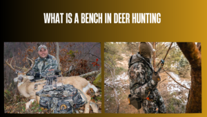 what-is-a-bench-in-deer-hunting