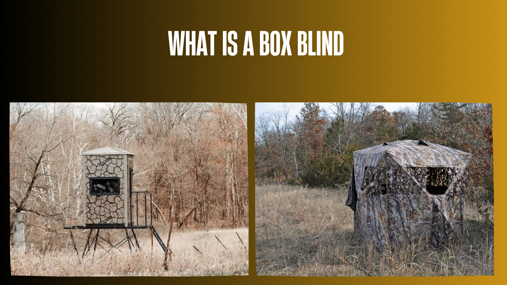 what-is-a-box-blind
