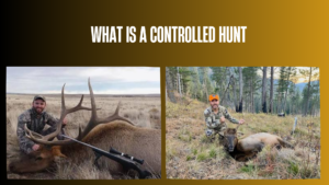 what-is-a-controlled-hunt