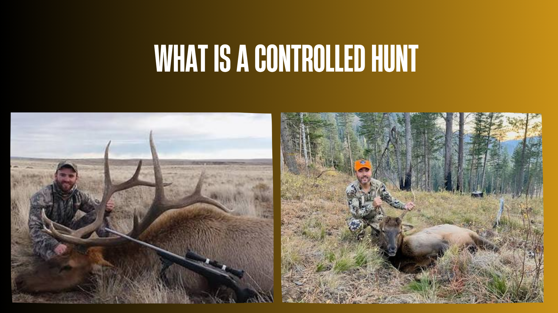 what-is-a-controlled-hunt