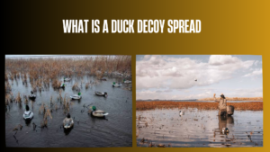 what-is-a-duck-decoy-spread