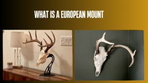 what-is-a-european-mount