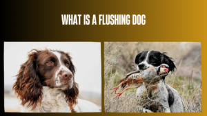 what-is-a-flushing-dog