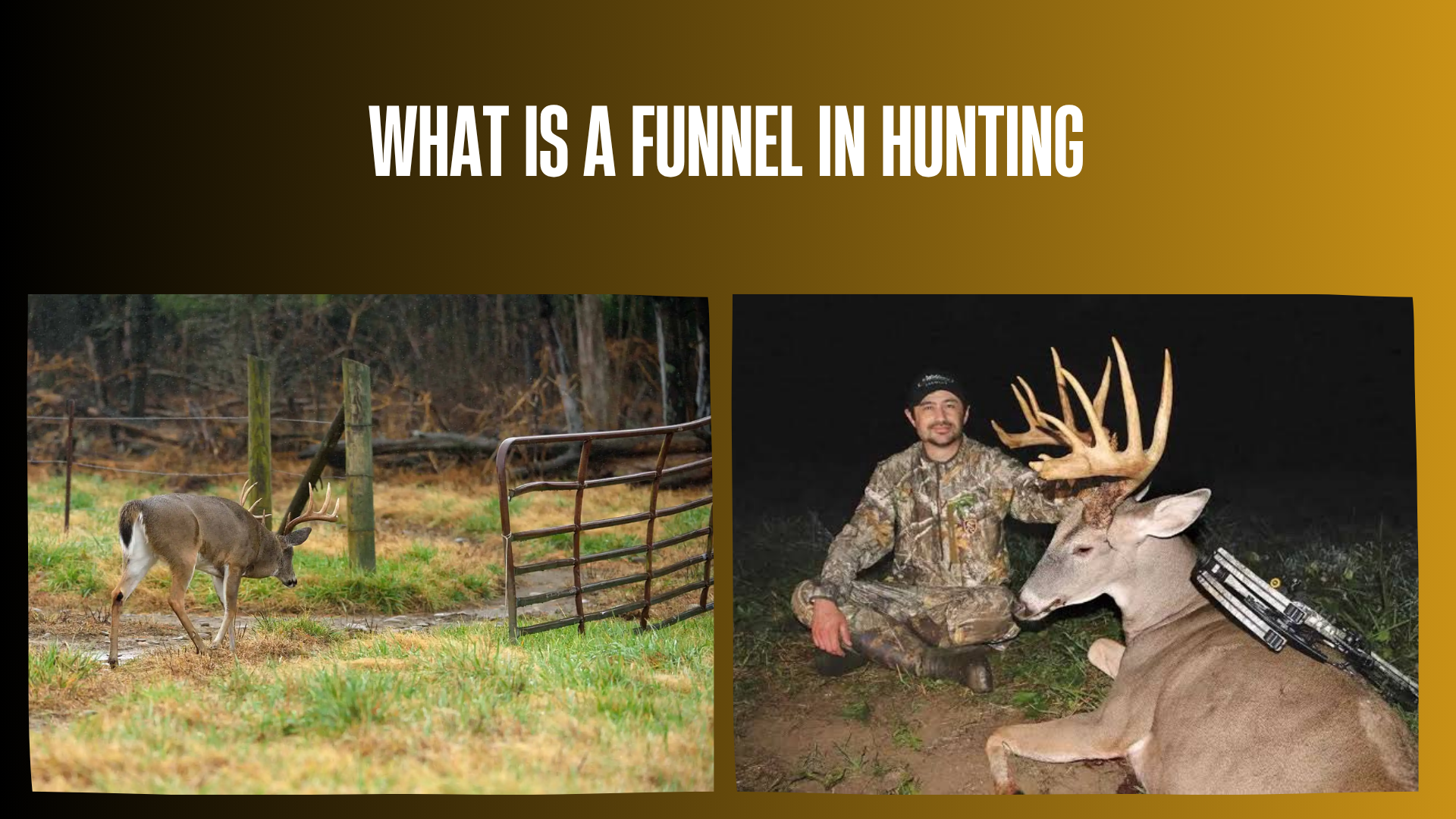 what-is-a-funnel-in-hunting