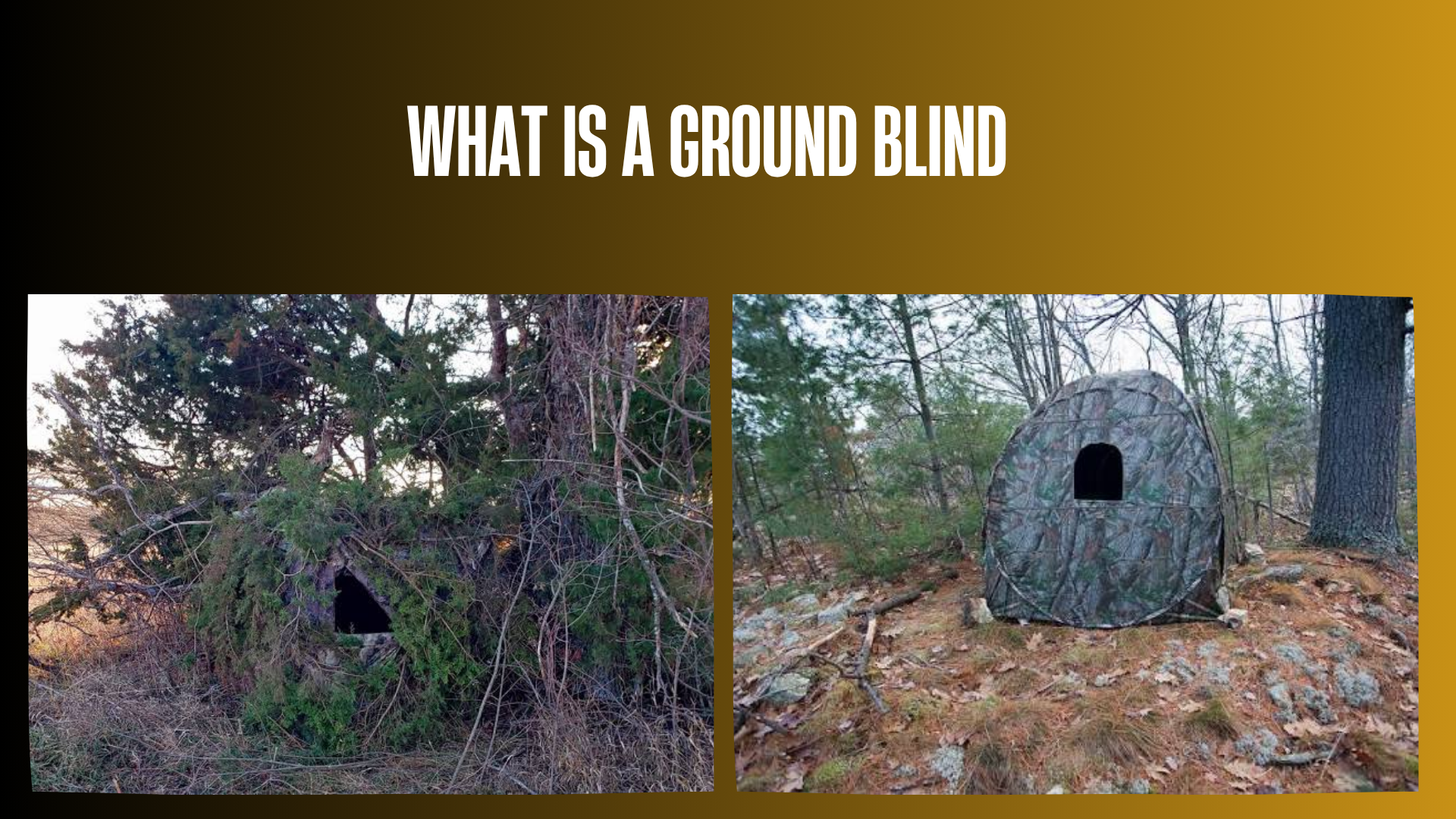 what-is-a-ground-blind