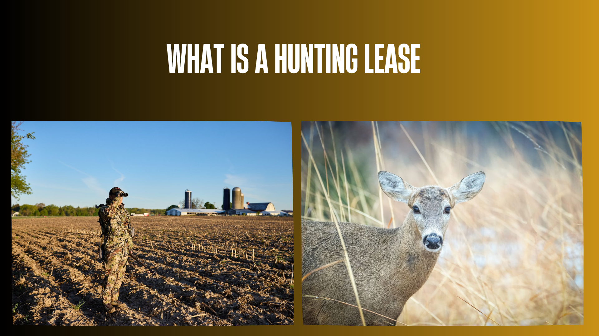 what-is-a-hunting-lease