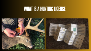 what-is-a-hunting-license