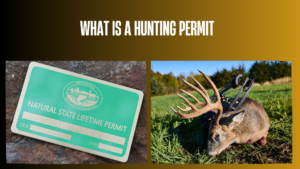 what-is-a-hunting-permit