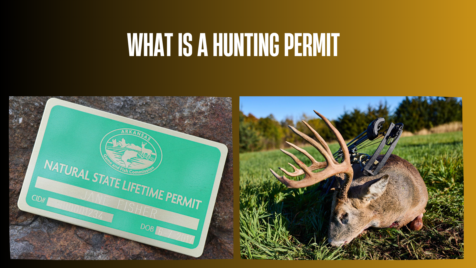 what-is-a-hunting-permit