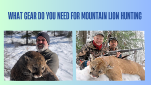 what-gear-do-you-need-for-mountain-lion-hunting