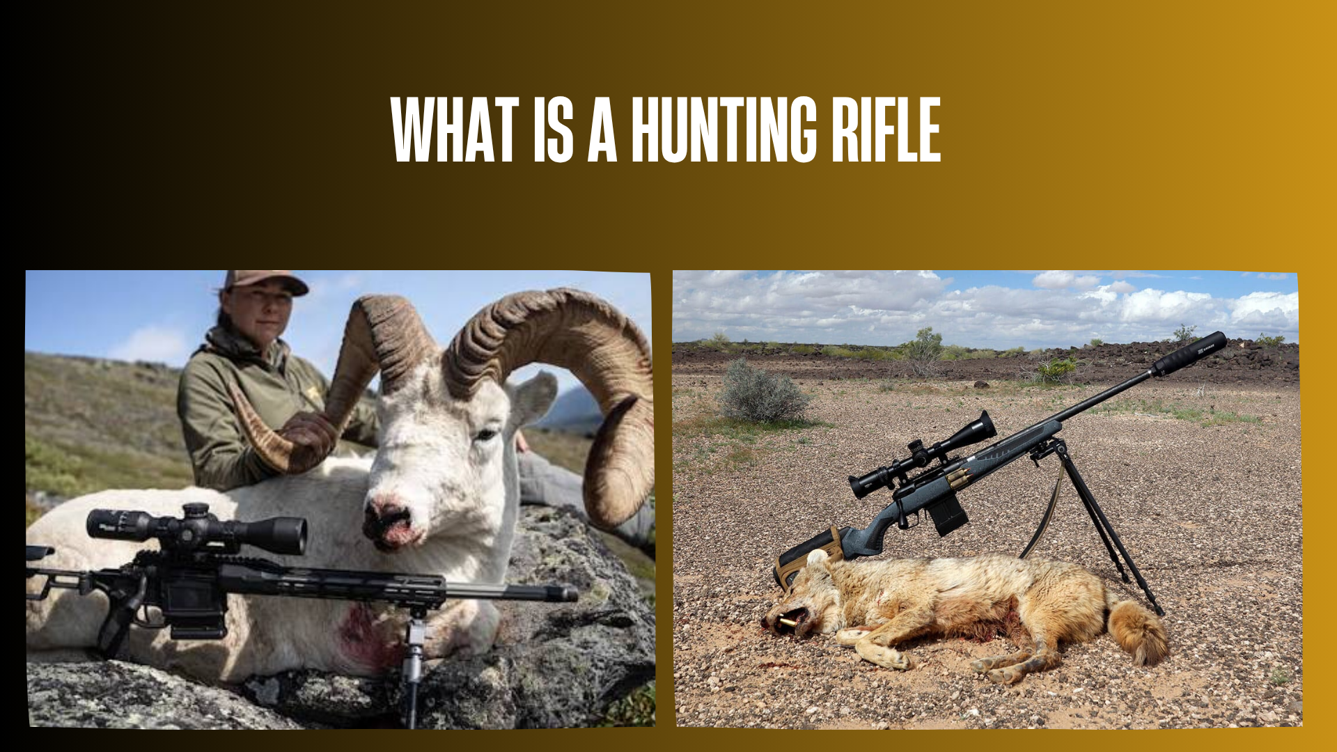 what-is-a-hunting-rifle