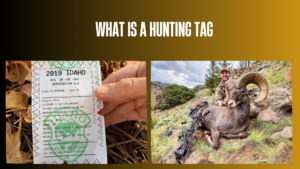 what-is-a-hunting-tag