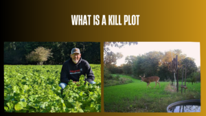 what-is-a-kill-plot