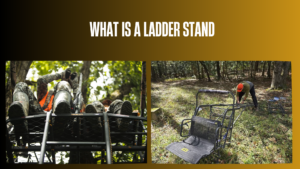 what-is-a-ladder-stand