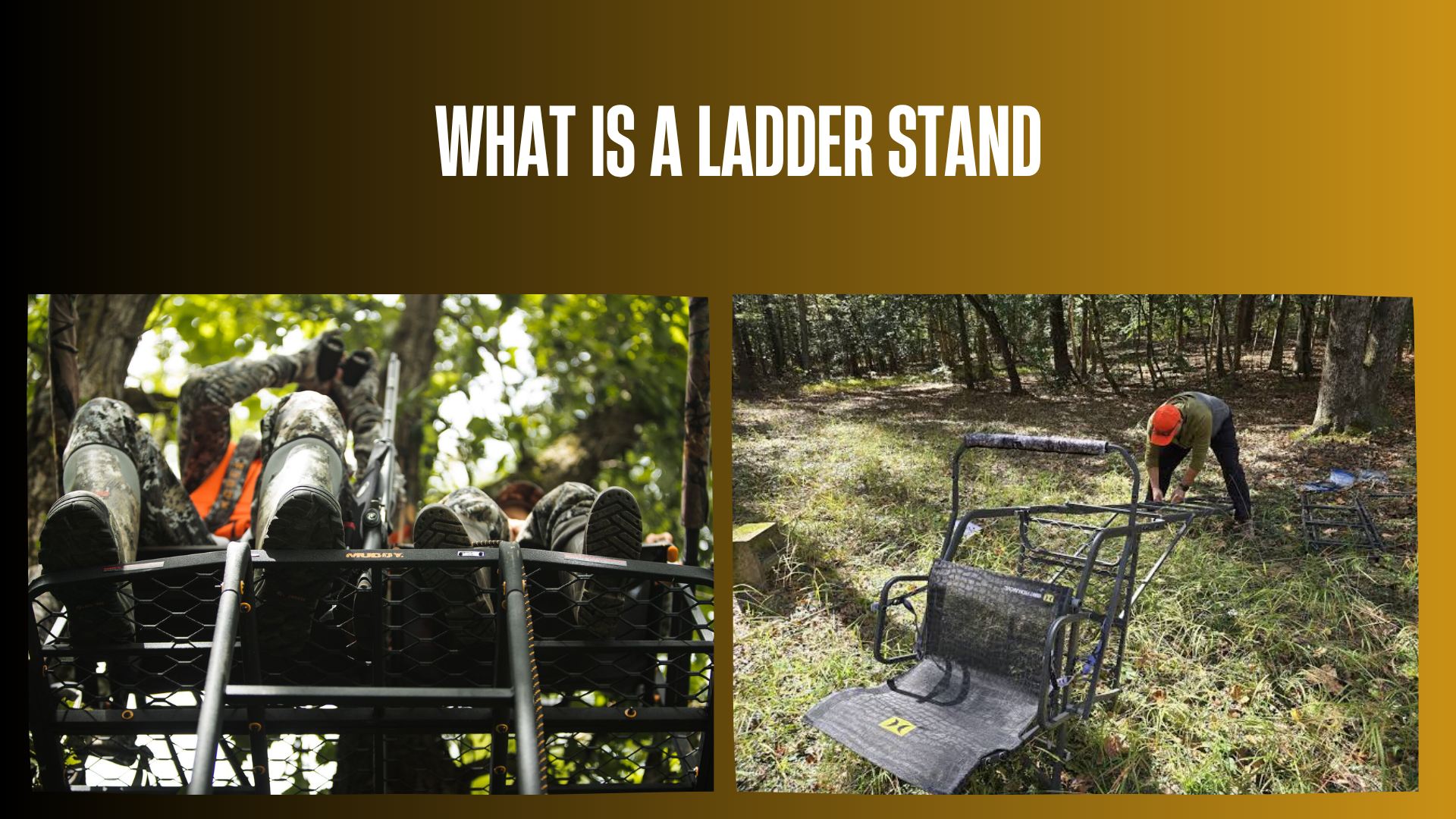 what-is-a-ladder-stand