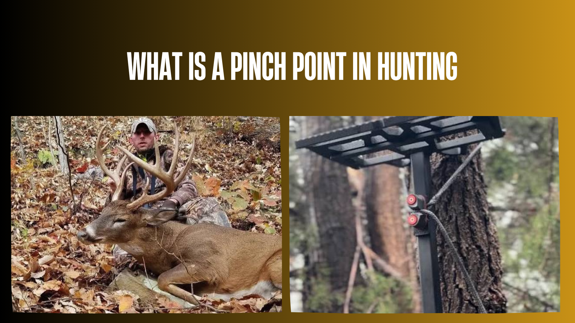 what-is-a-pinch-point-in-hunting