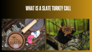 what-is-a-slate-turkey-call