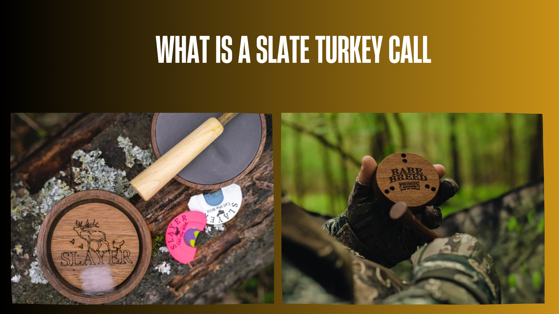 what-is-a-slate-turkey-call