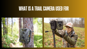 what-is-a-trail-camera-used-for