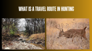 what-is-a-travel-route-in-hunting