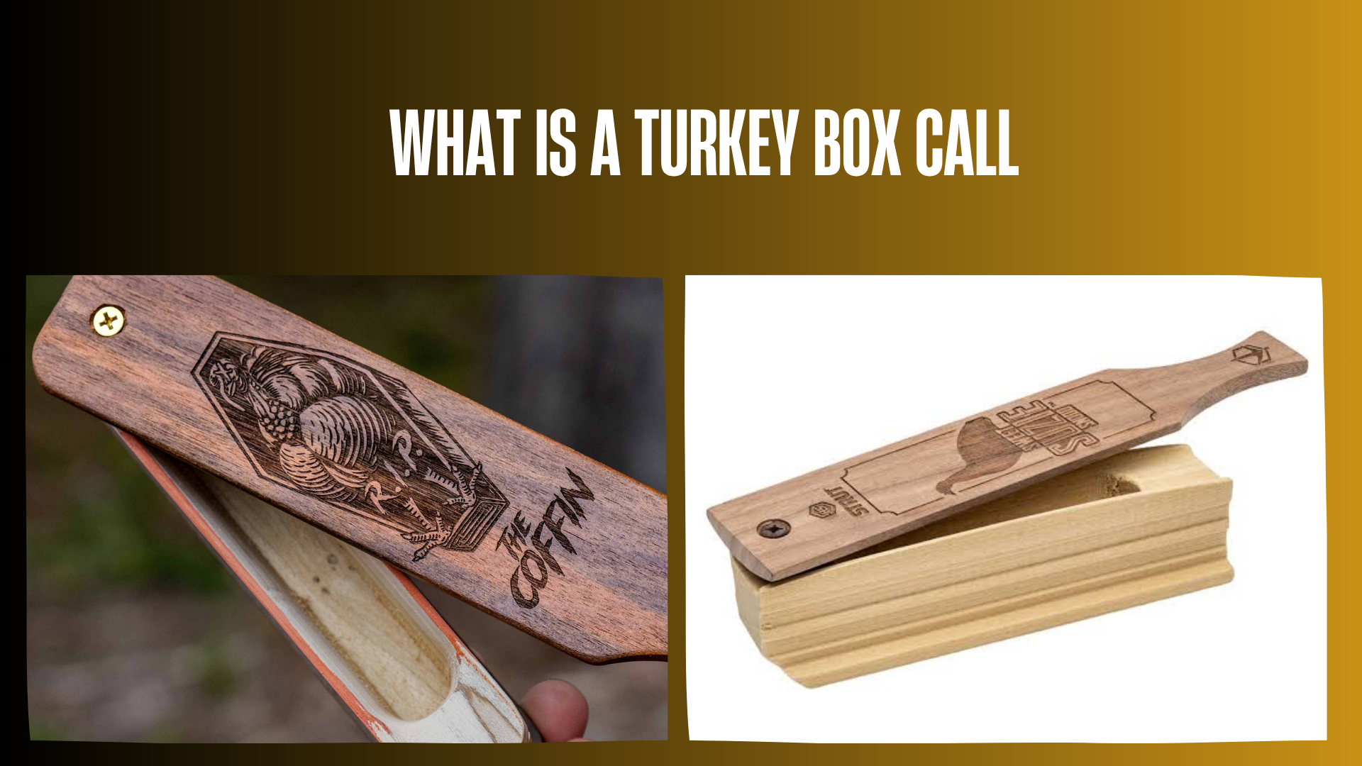 what-is-a-turkey-box-call