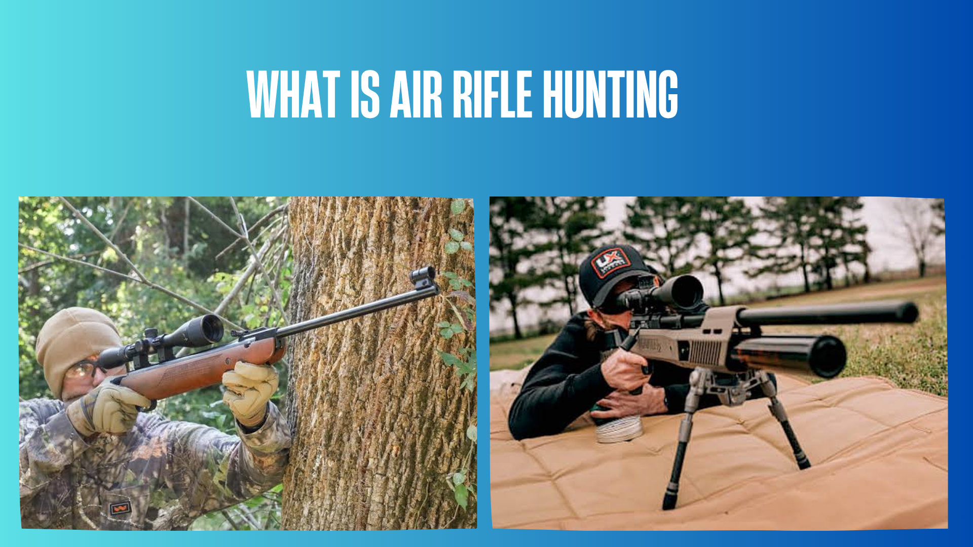 what-is-air-rifle-hunting