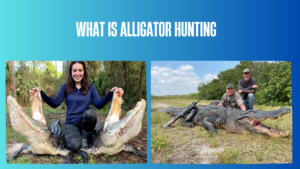what-is-alligator-hunting