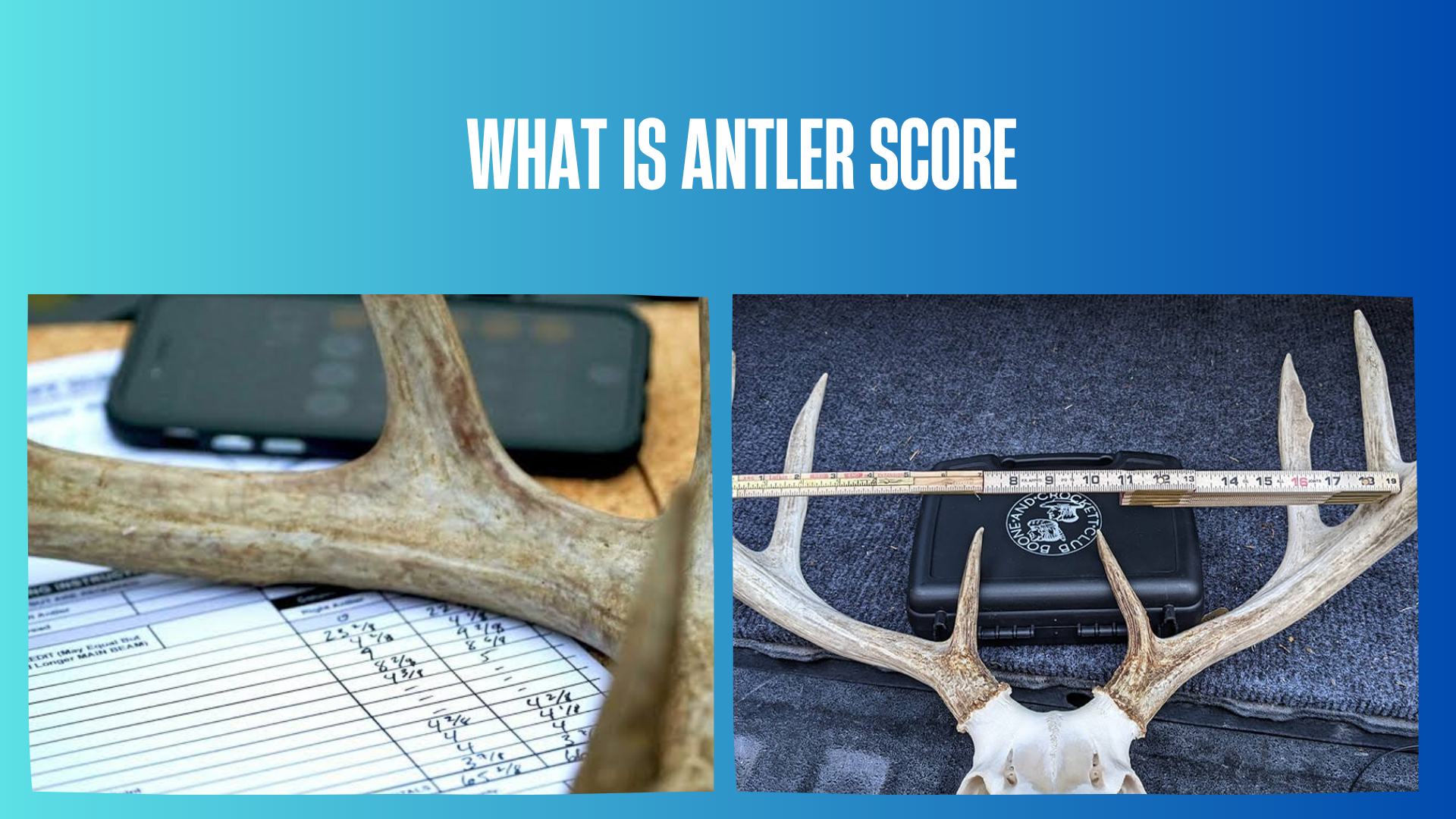 what-is-antler-score