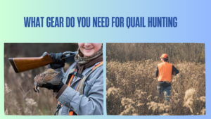 what-gear-do-you-need-for-quail-hunting