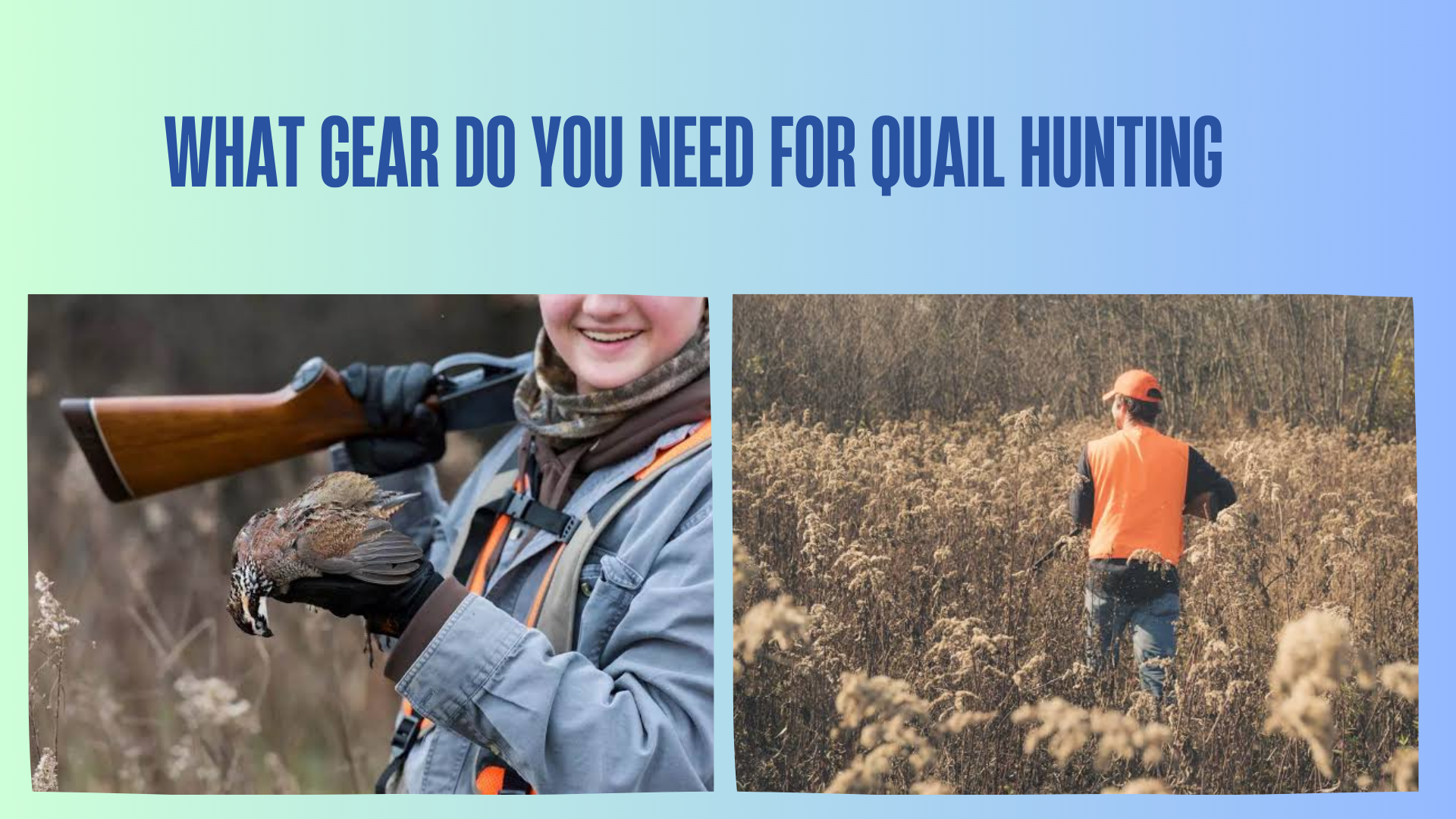 what-gear-do-you-need-for-quail-hunting