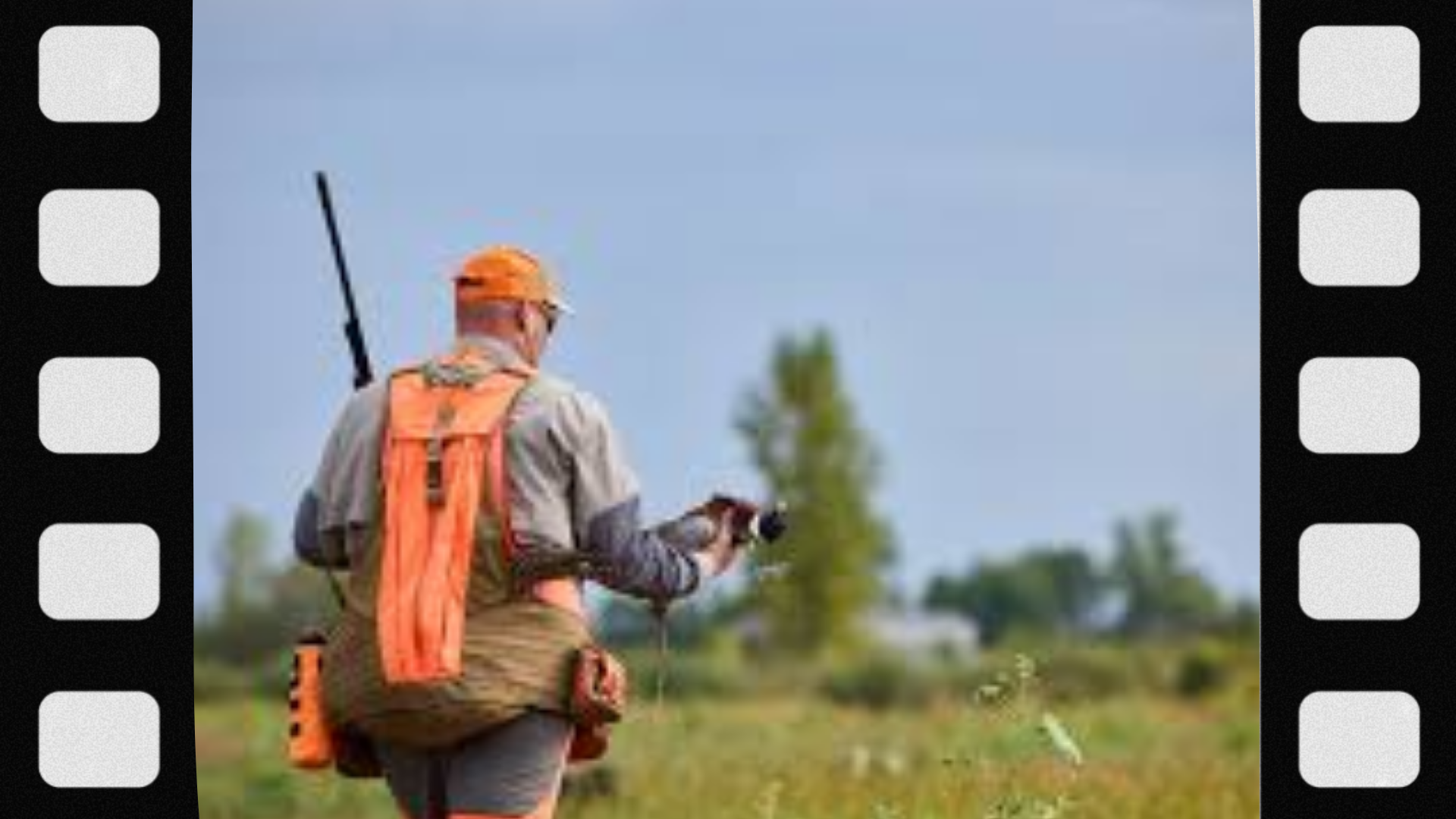 what-hunting-season-is-open-right-now