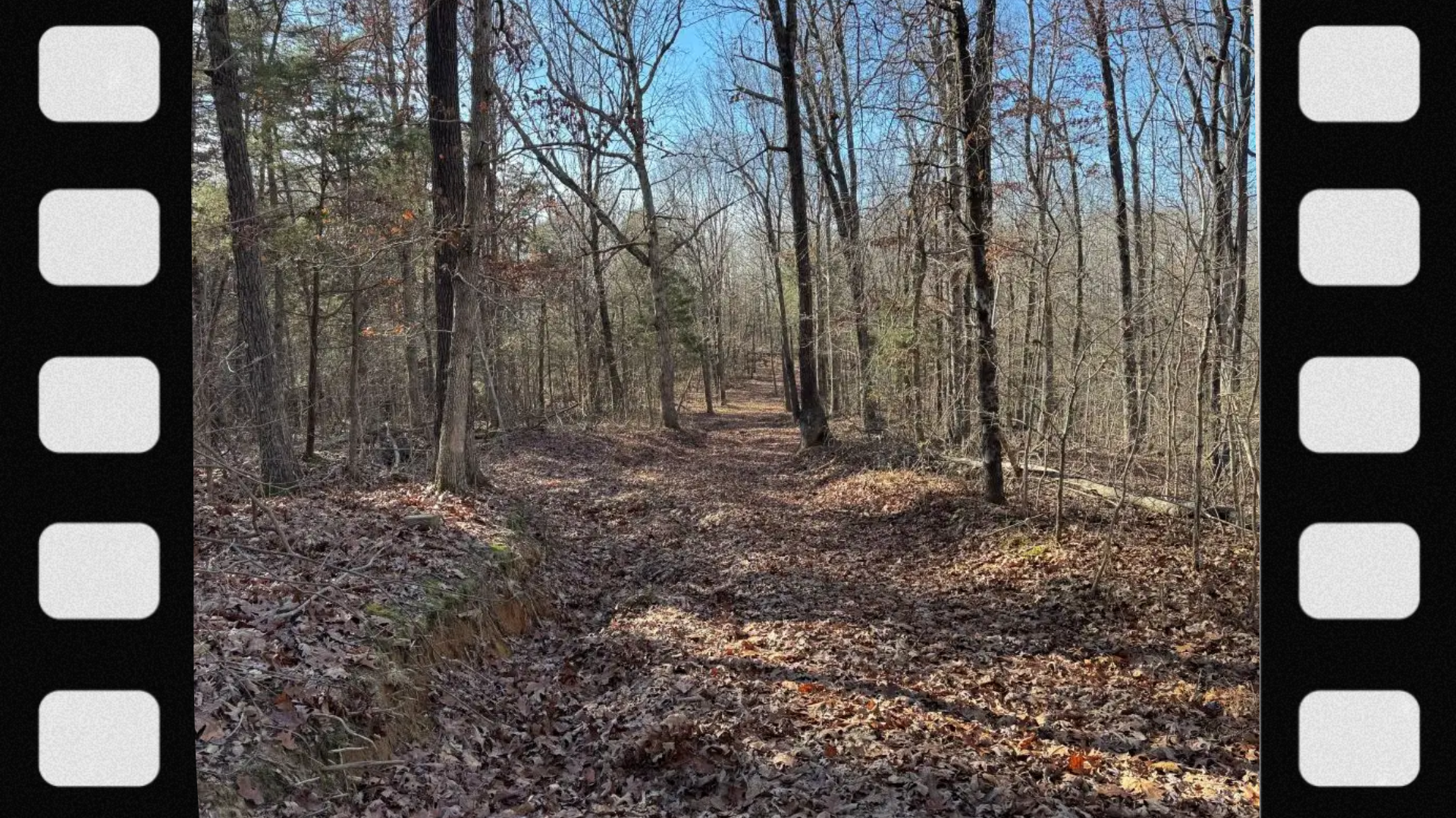 what-is-a-deer-travel-corridor