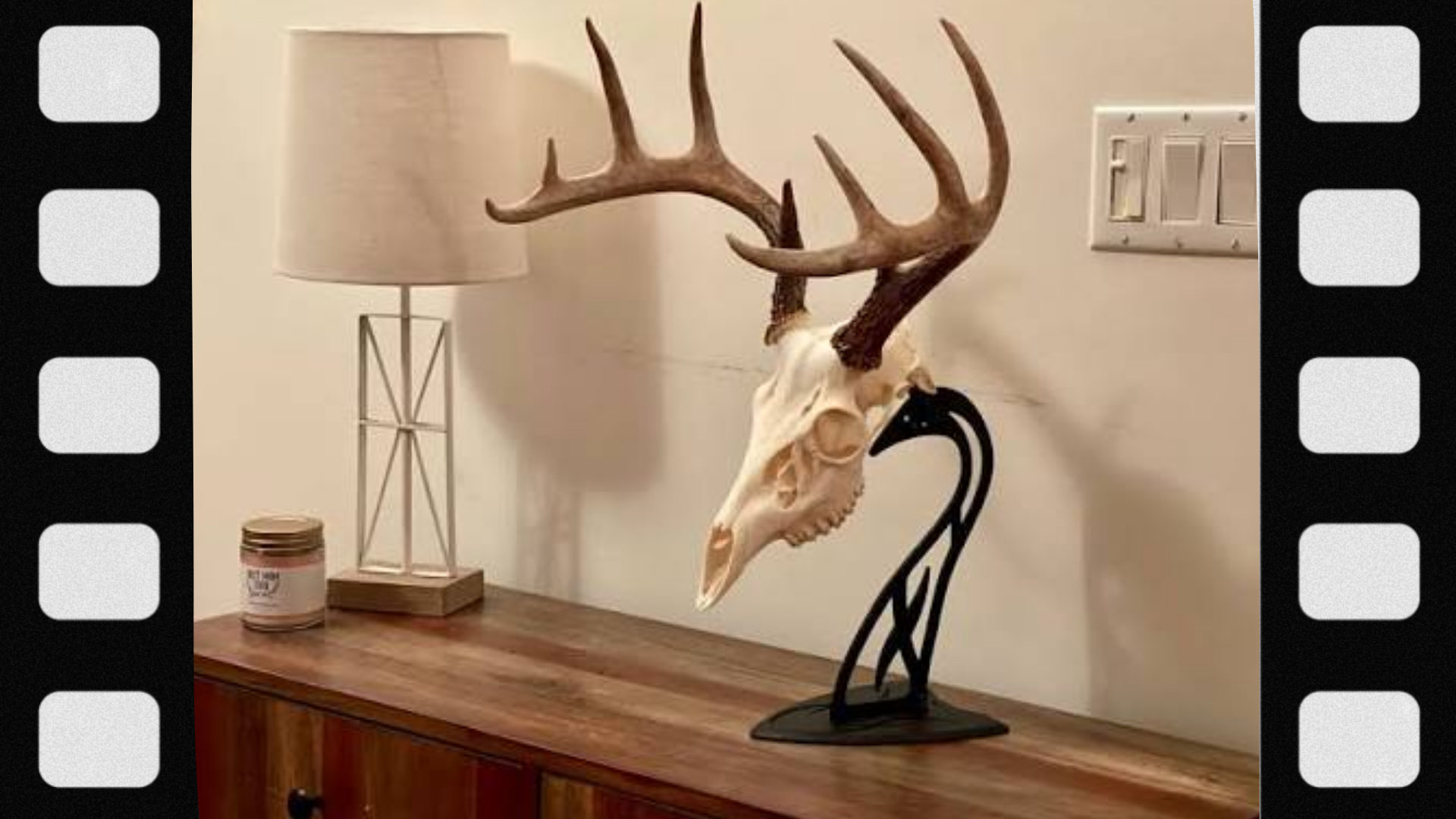 what-is-a-european-mount