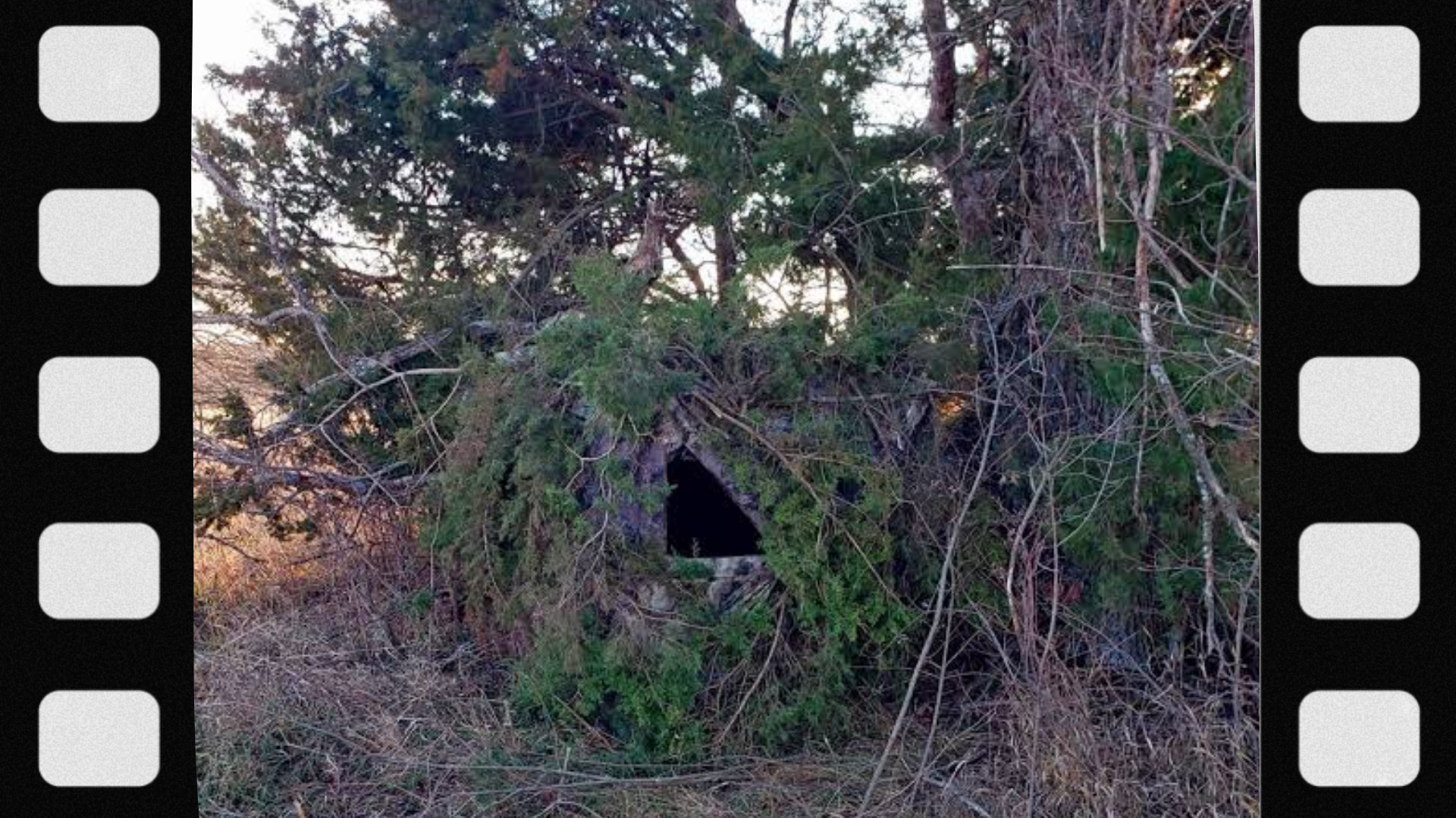 what-is-a-ground-blind