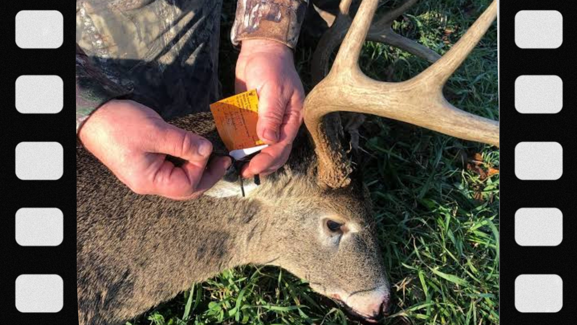 what-is-a-hunting-license