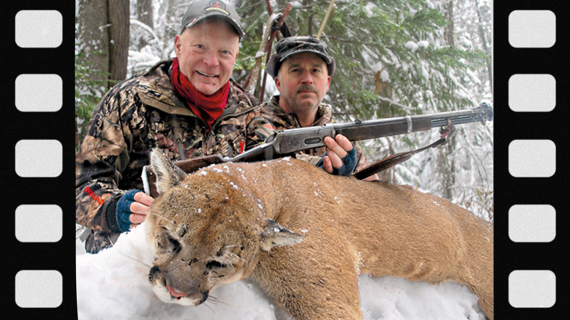 what-gear-do-you-need-for-mountain-lion-hunting