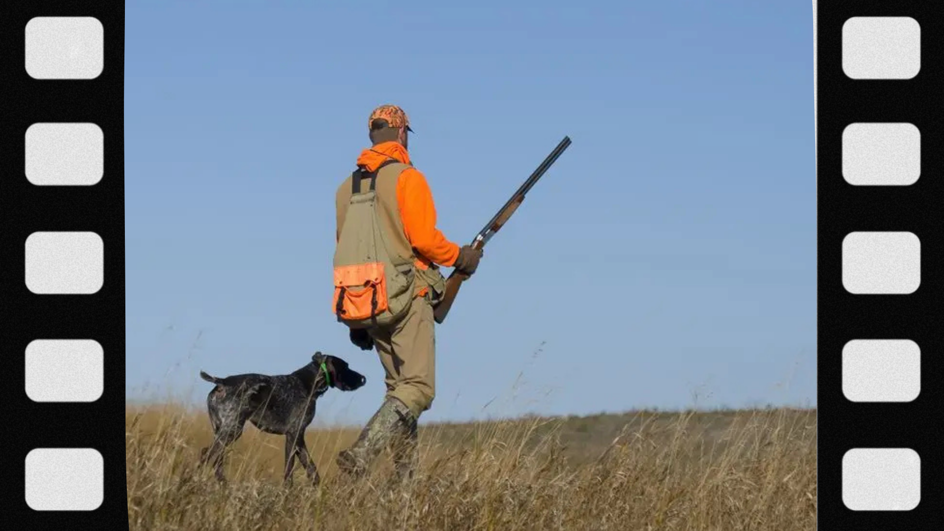 what-gear-do-you-need-for-pheasant-hunting