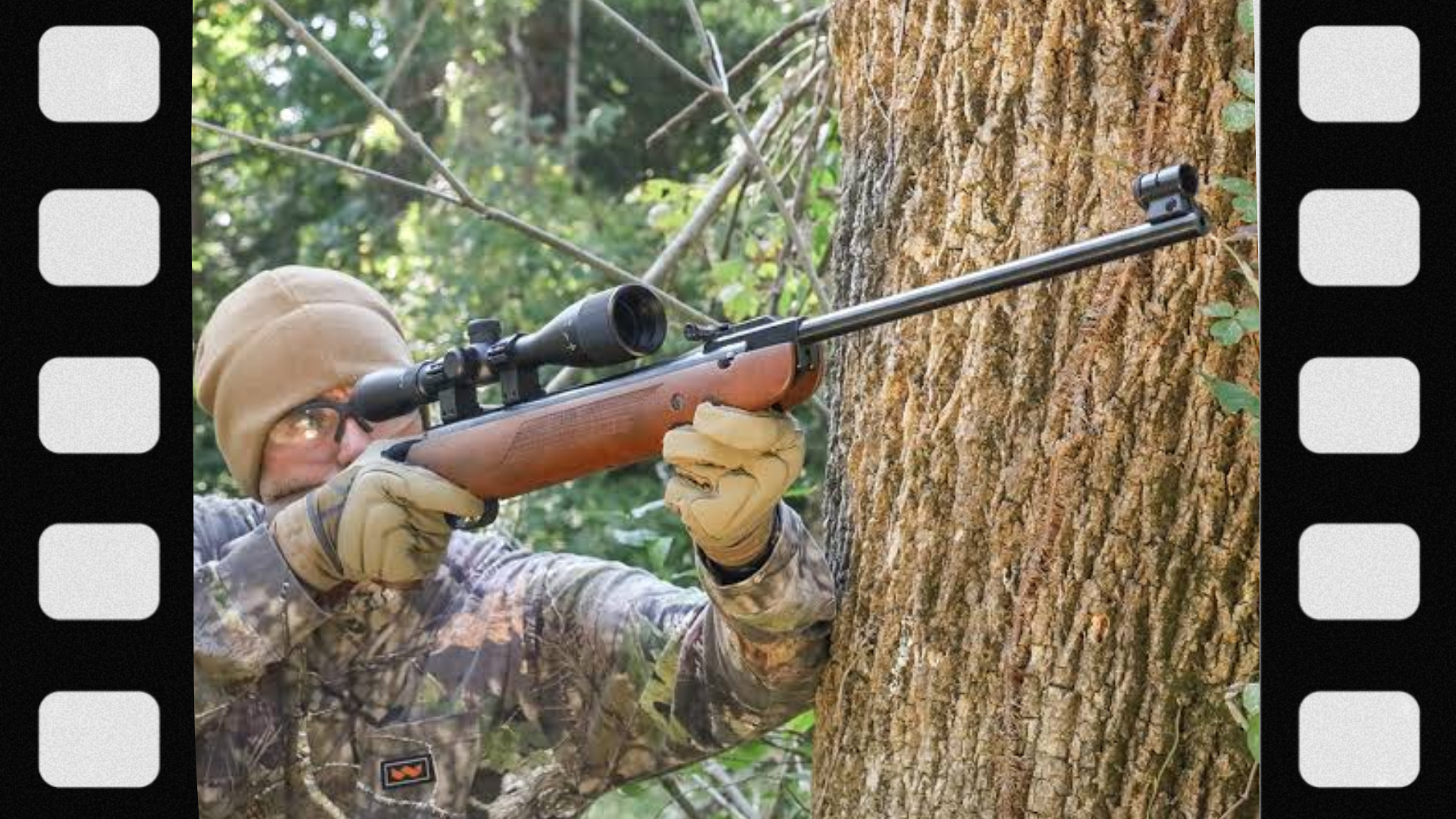 what-is-air-rifle-hunting