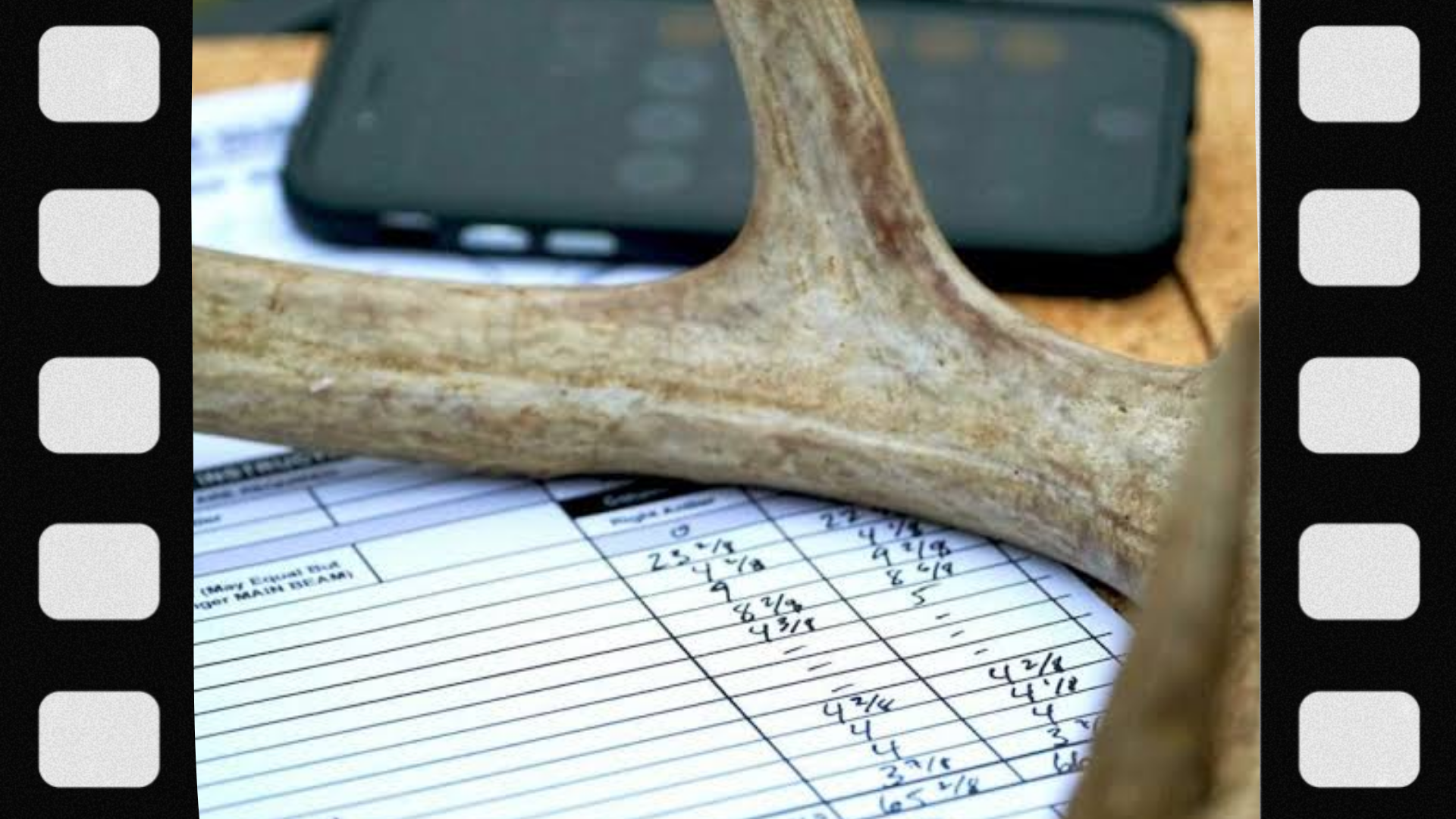 what-is-antler-score