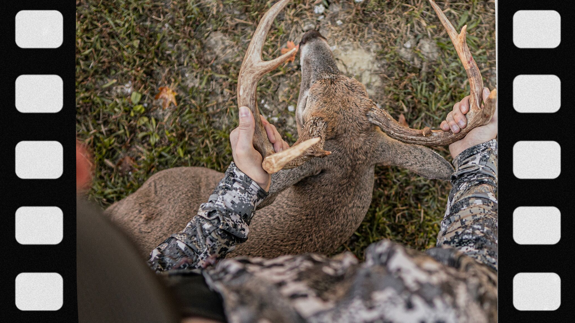 what-hunting-season-is-open-right-now