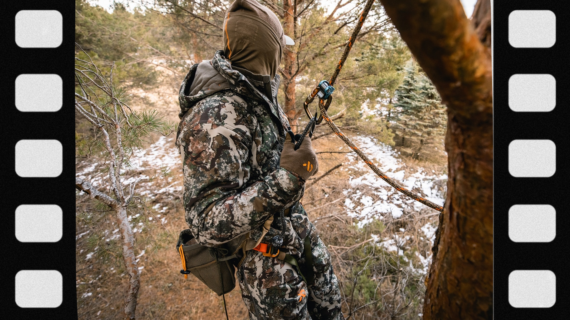 what-is-a-bench-in-deer-hunting