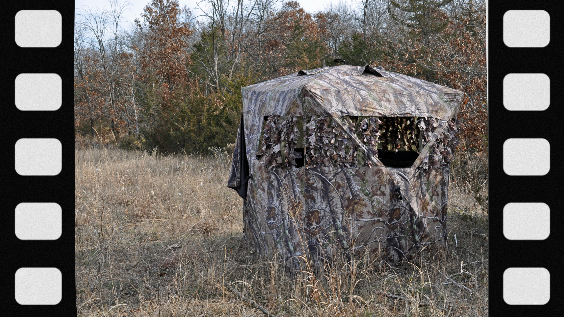 what-is-a-box-blind