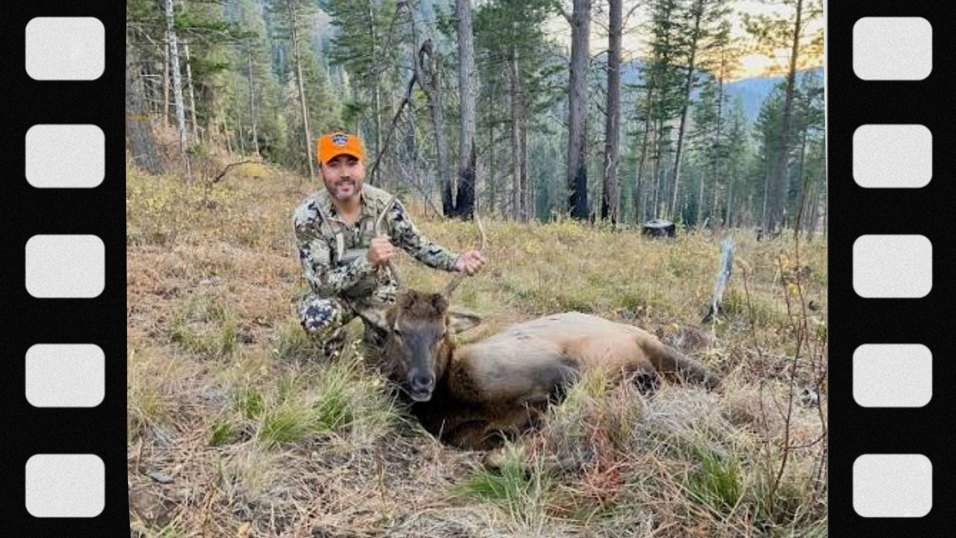 what-is-a-controlled-hunt