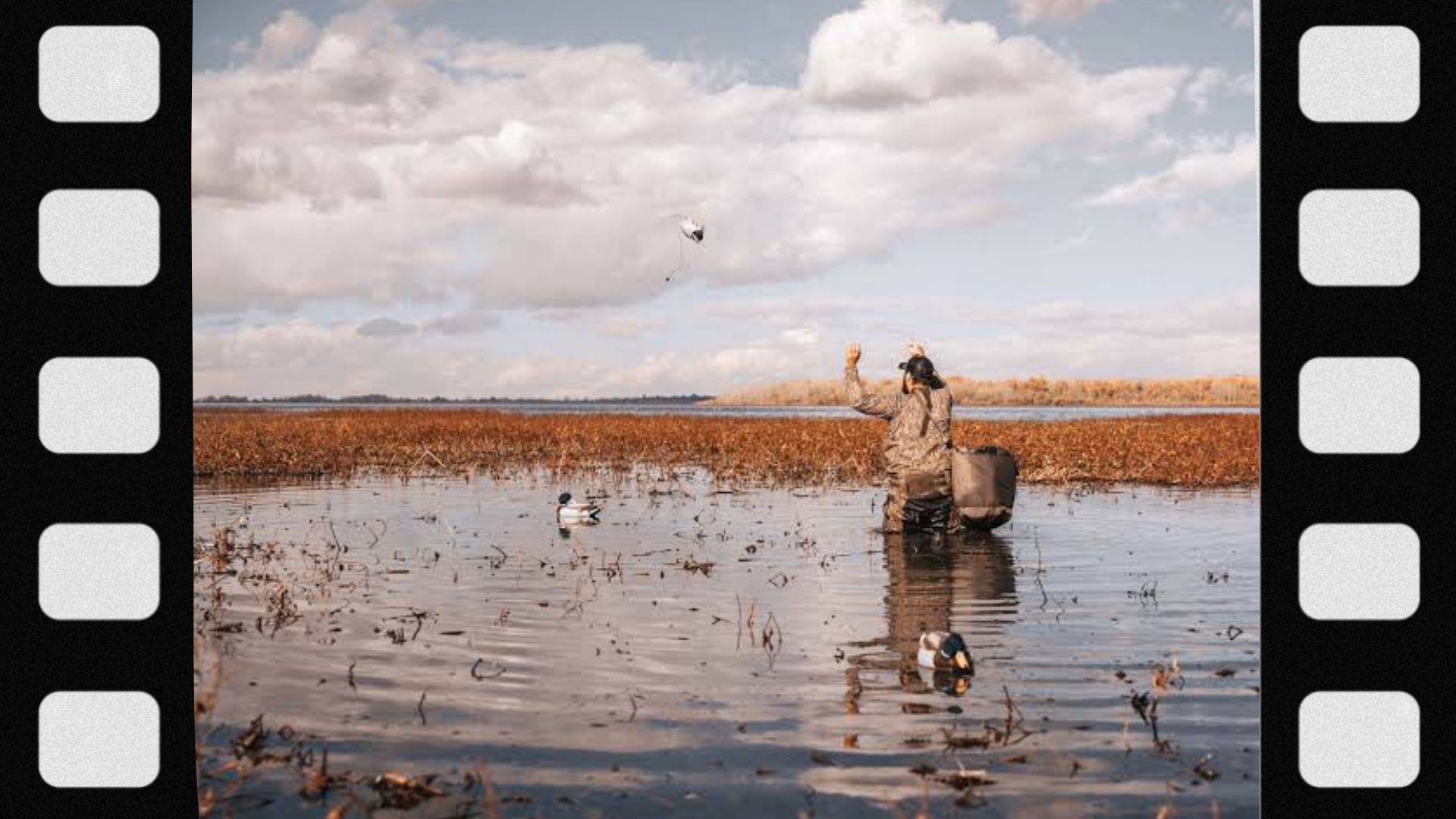 what-is-a-duck-decoy-spread