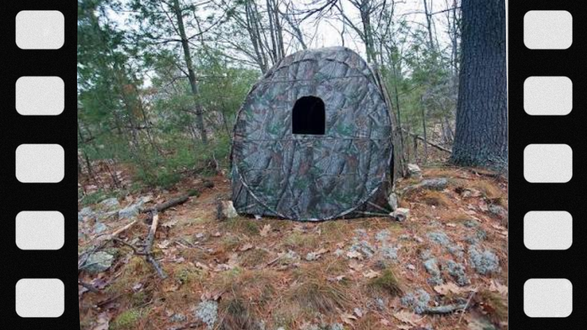 what-is-a-ground-blind