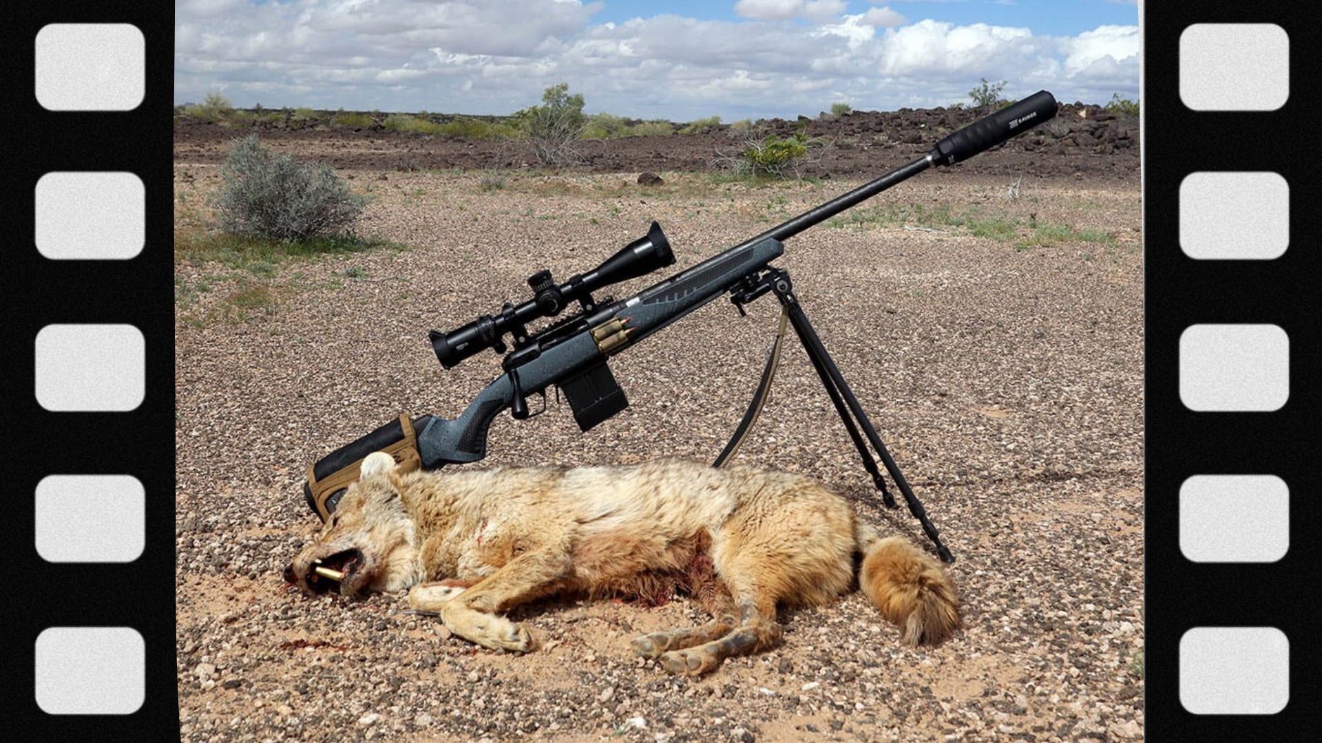 what-is-a-hunting-rifle