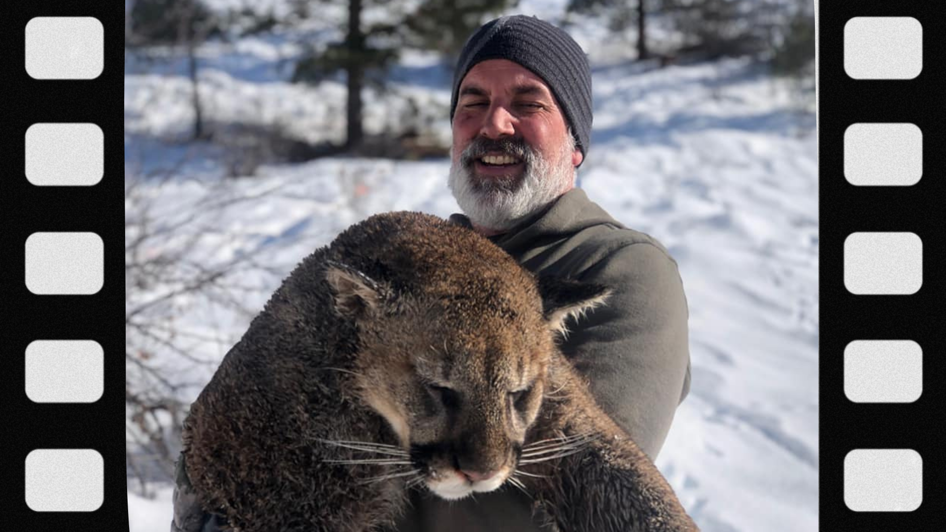 what-gear-do-you-need-for-mountain-lion-hunting